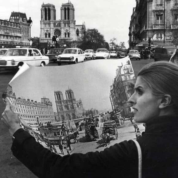 Meet your Posher, Lily - Picture 1 of 1